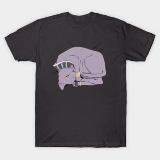 Cat Nap T-Shirt